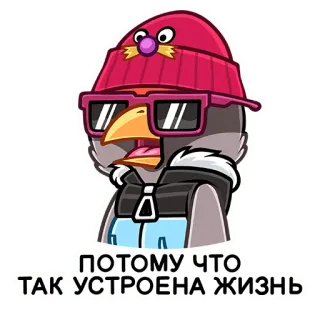 ☝️ e8d4e206 ПОТОМУ ЧТО ТАК УСТРОЕНА ЖИЗНЬ desenho animado, pássaro, personagem, adesivo, texto russo telegram sticker