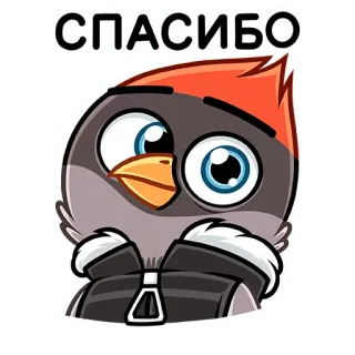😊 f4211351 СПАСИБО pássaro, desenho animado, obrigado, russo, saudação telegram sticker