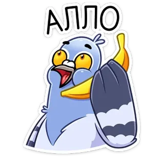 📱 5e7a9aa4 Алло голубь, мультфильм, птица, милый, смешной, животное telegram sticker