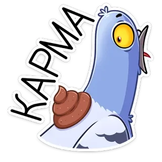 💩 6e3d634b KARMA голубь, птица, карма, дерьмо, смешно, животное, мультфильм telegram sticker