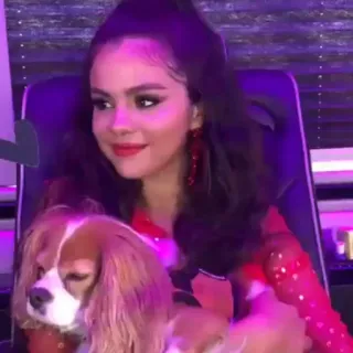 🍰 d4864e13 woman, dog, pet, portrait, person, girl, indoors telegram sticker