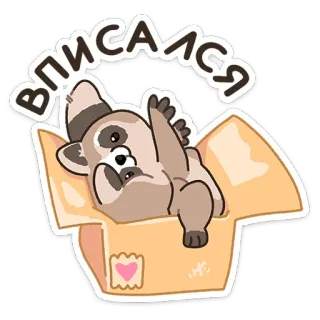 😔 1944a65d Вписался アライグマ, 可愛い, 動物, 箱, 寝そべり telegram sticker