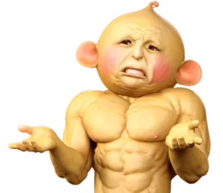 🤷‍♂ 697a57f2 telegram sticker