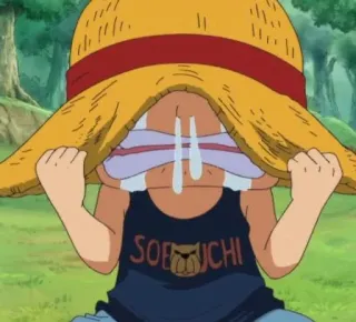 🍖 8df6c1a3 SOEBICHI 动漫, 卡通, 哭, 搞笑, 伤心, 草帽 telegram sticker