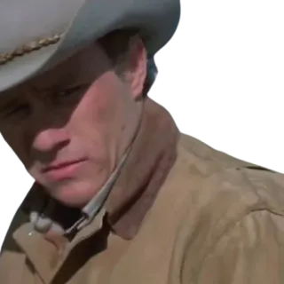 🤨 e4944489 カウボーイ, 西部劇, カントリー, 帽子, 男 telegram sticker