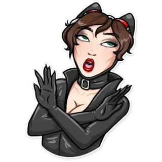 🙅 2922ac76 Catwoman 캣우먼, dc 코믹스, 빌런, 슈퍼히어로, 고양이, 여자, 만화책 whatsapp sticker