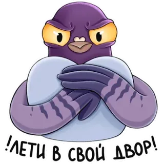 😠 57f8d5f5 ЛЕТИ В СВОЙ ДВОР! pigeon, bird, russian, angry, insult telegram sticker
