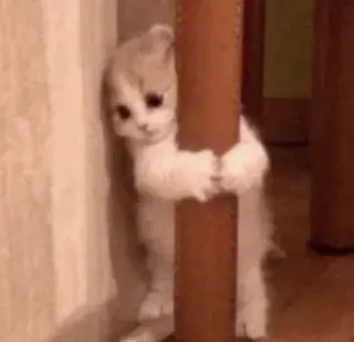 @OMEGA_ONLY
Gᴏʀʙᴇ🧶🐈 telegram stickers