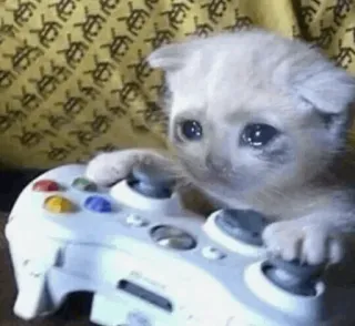 🐈 94da8e6b chat, chaton, gaming, gamer, pleurs, triste, console, xbox telegram sticker