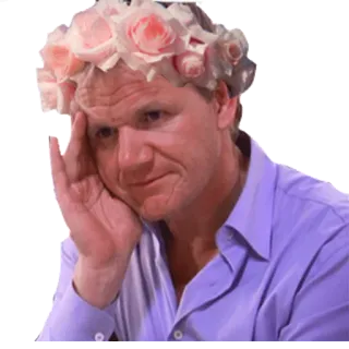 😪 a24d7588 telegram sticker