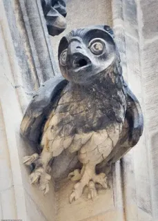 😐 1230366a burung hantu, gargoyle, patung, ukiran batu, burung, arsitektur, dekorasi telegram sticker