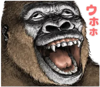 😄 224a51e2 ウホホ gorila, animal, riendo, mono telegram sticker