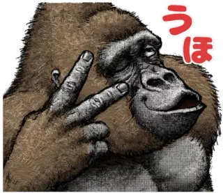 Gorilla Gorilla 3 telegram stickers