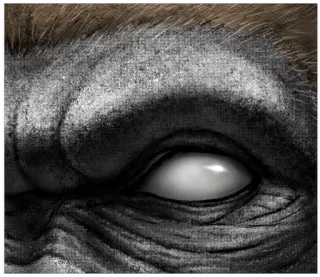 👁 97870e55 telegram sticker