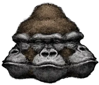 👥 f6fb572f gorila, simio, animal, primate, ilustración, mamífero telegram sticker