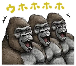😂 201d401d ウホホホホ 고릴라, 유인원, 동물, 영장류, 웃음, 행복, 웃긴 telegram sticker