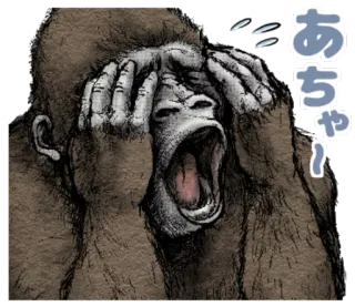 😱 20204ded あちゃー！ 고릴라, 놀람, 동물, 스티커 telegram sticker