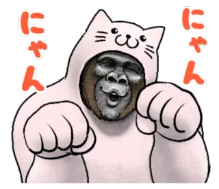 👊 2b69e11f にゃん 고릴라, 고양이, 동물, 코스튬, 귀여운, 냥 telegram sticker