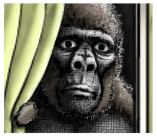 😐 f3419033 원숭이, 고릴라, 동물, 영장류, 보는, 커튼, 스케치 telegram sticker