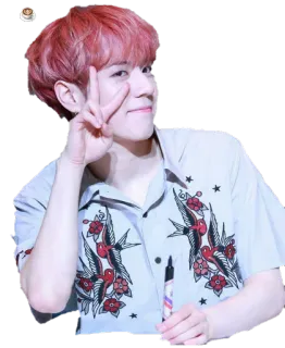 ✌ 56333234 telegram sticker