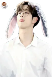 🐰 abbd443f orejas de conejo, hombre, gafas, lengua, lindo telegram sticker