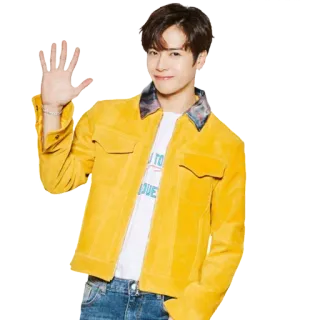 👋 5fa6a808 pria, melambai, jaket, tersenyum, ramah, potret telegram sticker