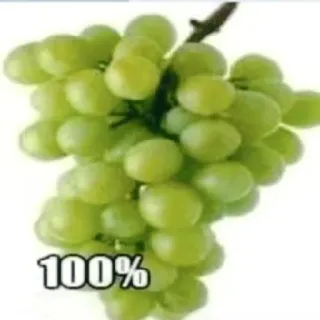 Aboba6 (https://t.me/addstickers/DAMN_BIRD) whatsapp stickers