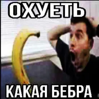 🍌 cb590539 ОХУЕТЬ
КАКАЯ БЕБРА banane, drôle, mème, réaction, choqué, russe telegram sticker