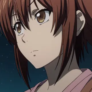 🌊 9b21d260 animé, fille, cheveux bruns, personnage, portrait telegram sticker