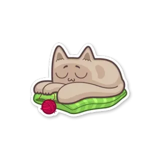 😀 69846ea9 Katze, schlafend, Kissen, Garn, niedlich, Tier telegram sticker