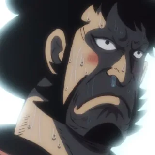 🏴‍☠️ 657ed7cb whatsapp sticker