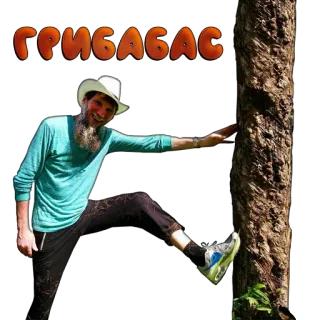 ✊️ cdd3abd6 ГРИБАБАС homme, chapeau, arbre, nature, barbe telegram sticker