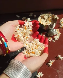 🌟 7ae54587 bunga, tangan, pewarna merah, gelang perak, Nyctanthes arbor-tristis, melati malam, parijat, shefali telegram sticker