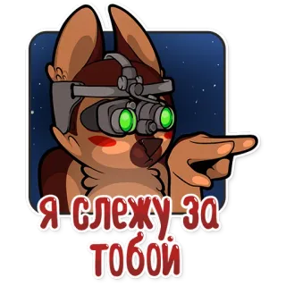 😑 86fb767c Я СЛЕЖУ ЗА ТОБОЙ 动物, 贴纸, 夜视, 卡通, 狗 telegram sticker