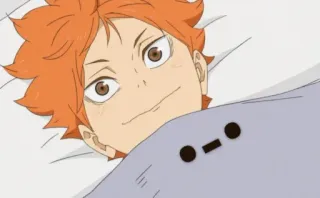 🍊 543dddd6 Hinata Shoyo Haikyuu 动漫, 日向翔阳, 排球少年, 睡觉, 可爱, 毯子 telegram sticker