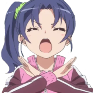 🙅‍♀ f571ff61 Anime, Dziewczyna, Ręce skrzyżowane, Nie, Odmowa, Zaprzeczyć telegram sticker