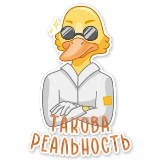 😎 1c7e6e36 ТАКОВА РЕАЛЬНОСТЬ 鸭子, 太阳镜, 实验服, 文本, 卡通 telegram sticker