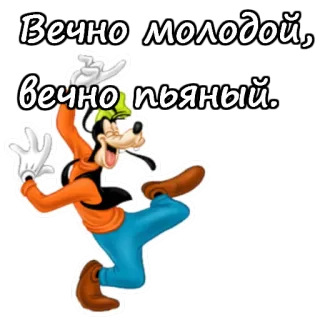 🤙 3224b18f Goofy Вечно молодой, вечно пьяный. konyol, kartun, stiker, lucu, rusia telegram sticker