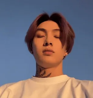 😳 a9680082 pria, orang, potret, laki-laki, tato, tato leher, matahari terbenam telegram sticker