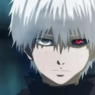 Гуль🕊️ whatsapp stickers