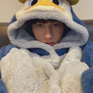 🥑 0eacd006 person, hoodie, clothing, portrait, face, young adult telegram sticker