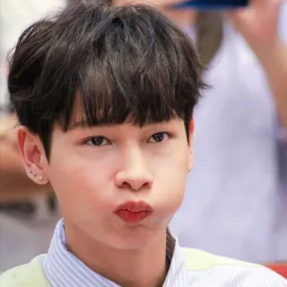 🥑 33536db4 telegram sticker