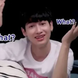 🥑 e81fc168 What? telegram sticker