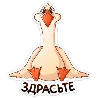 👋 b5ebbbe6 ЗДРАСЬТЕ 鹅, 你好, 问候, 鸟, 卡通 whatsapp sticker