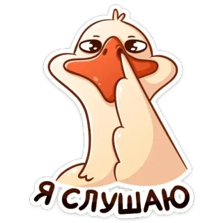 👂 d1e2d2e3 Я СЛУШАЮ 鸭子, 听, 卡通, 动物, 贴纸 whatsapp sticker
