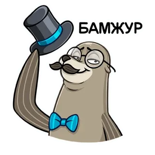 🧐 27706af8 БАМЖУР foca, animale, cartone animato, carino, cilindro, occhiali, papillon telegram sticker