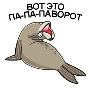 🙃 44068d9f ВОТ ЭТО ПА-ПА-ПАВОРОТ foca, animale, divertente, meme telegram sticker