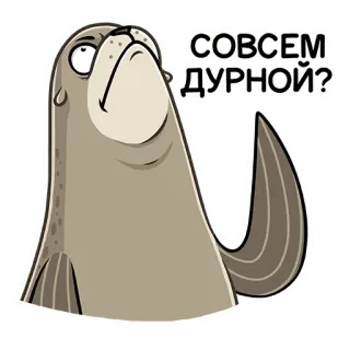 🤦‍♀️ 5e7b7bdd СОВСЕМ ДУРНОЙ? foca, cartone animato, animale, russo, domanda telegram sticker