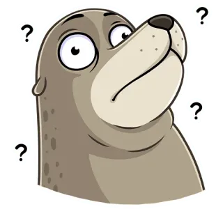 ❓ 637fe835 foca, cartone animato, punti interrogativi, confuso, animale, adesivo telegram sticker