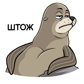 🤔 95ea8b04 ШТОЖ foca, animale, cartone animato, carino, divertente, espressione telegram sticker